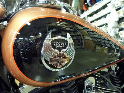 f318d5b9.jpg