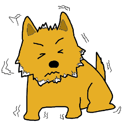うちの犬 震えているけど 高齢犬と楽しく過ごす方法