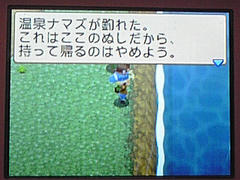 温泉ナマズ