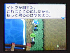 イトウ