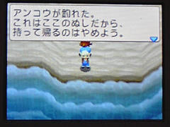 アンコウ