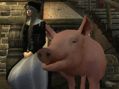 pig02.jpg