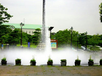 CIMG1301.jpg