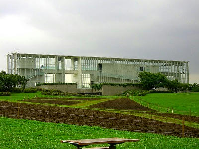 CIMG1317.jpg