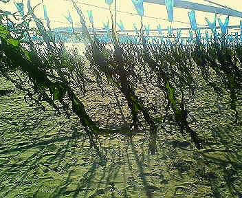 200802141455000.jpg