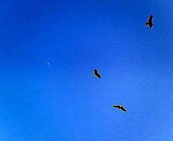 200802141522000.jpg