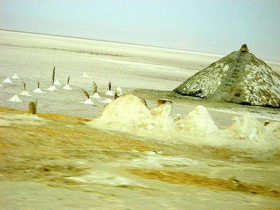 CIMG5039.jpg
