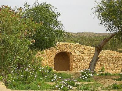 CIMG5425.jpg