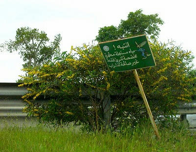 CIMG5838.jpg