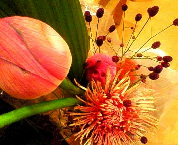 200808152051001.jpg