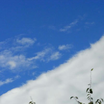 RIMG0070.jpg