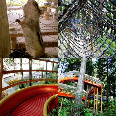 collage10.jpg
