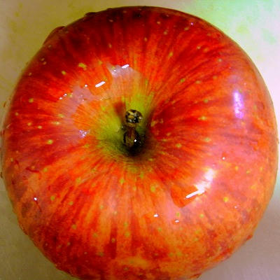 RIMG0217.jpg