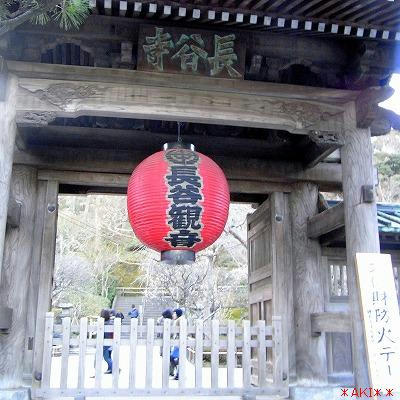 RIMG0099.jpg
