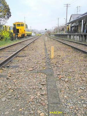 RIMG0696.jpg