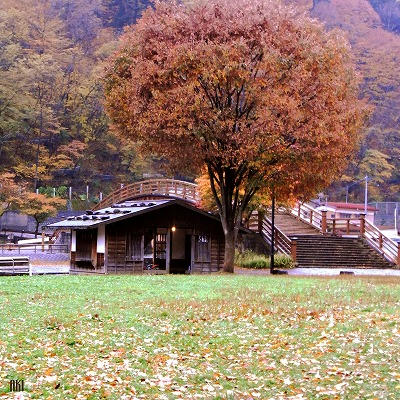 RIMG0228.jpg