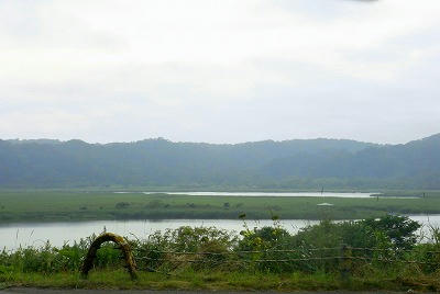 RIMG0499.jpg