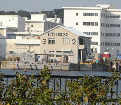 RIMG0296.jpg