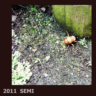 2011-06-19.jpg