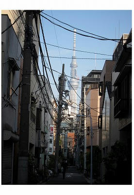 2011-11-104.jpg