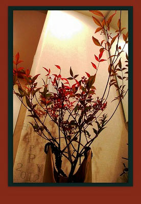 2011-12-302.jpg