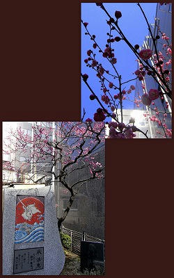 2012-03-12.jpg