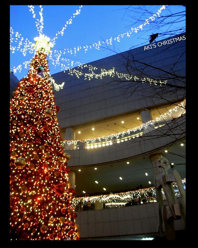 2012-12-24.jpg