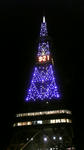 DVC0000118.jpg