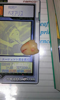 PAP_0001.JPG