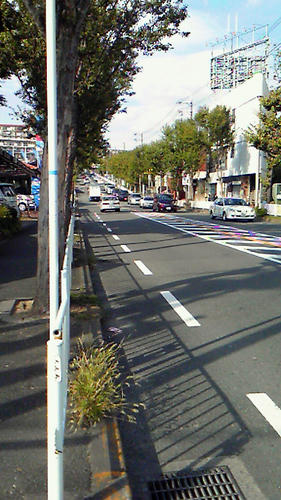 201010161418000.jpg