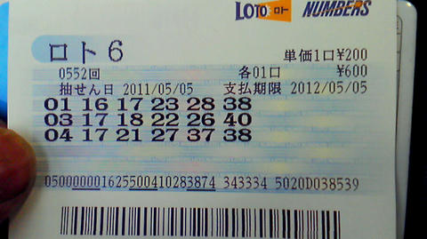 roto6_552.jpg