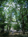 R0015307.JPG