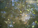 R0015305.JPG