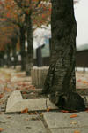 a5790.JPG