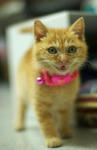 DSC_0011-5.jpg