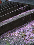 r002.JPG