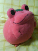 d3b77a58.JPG
