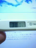 P1000154.JPG