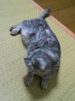 0f5c9b81.JPG