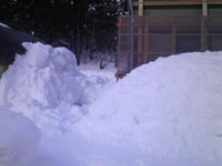 3eb37341.JPG