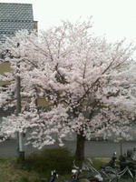 b68610e9.JPG