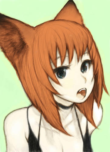 赤毛ネココ