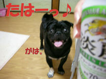 DSCN1190.JPG