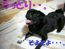 DSCN1195.JPG