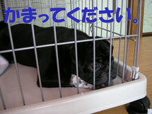 DSCN1204.JPG