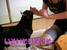DSCN1208.JPG