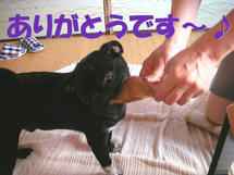 DSCN1209.JPG