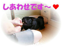DSCN1213.JPG