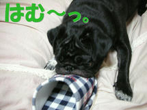 DSCN1237.JPG