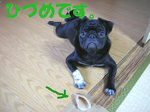 DSCN1223.JPG